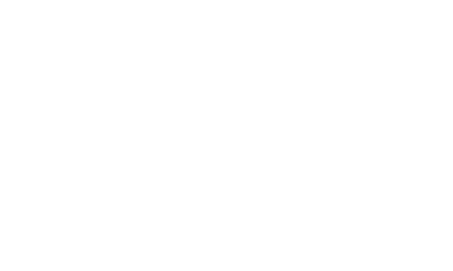 Official Logo of National Pines